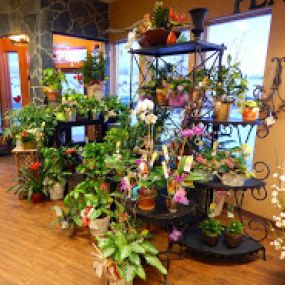 Store front floral arrangements