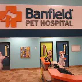 Bild von Banfield Pet Hospital