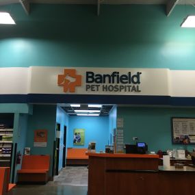 Bild von Banfield Pet Hospital