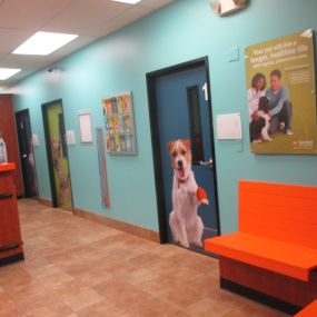 Bild von Banfield Pet Hospital