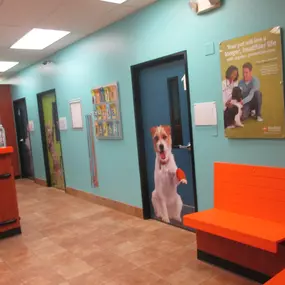 Bild von Banfield Pet Hospital