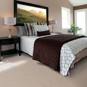 In addition to warmth and comfort, carpet adds beauty and style to any room, all while improving indoor air quality! Today’s carpet options are available in a wide range of colors, fibers, textures and patterns and with today’s leading advances in manufacturing, many are stain and wear resistant. Some even push the envelope on design (if that’s your style)!