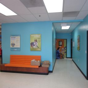 Bild von Banfield Pet Hospital