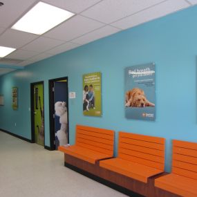 Bild von Banfield Pet Hospital