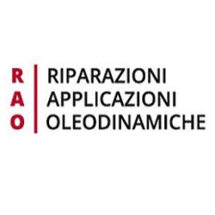 Logo von R.A.O. sas