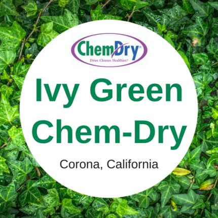 Logo fra Ivy Green Chem-Dry