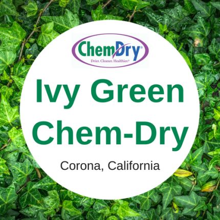 Logo von Ivy Green Chem-Dry