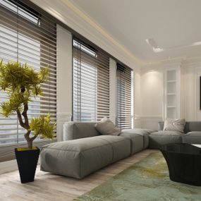 Persianas
Shades
Blinds