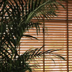 Persianas
Shades
Blinds