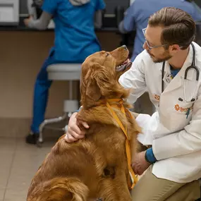 Bild von Banfield Pet Hospital