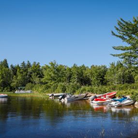 Bild von Patten Pond Campground