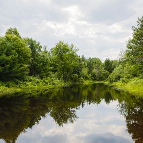 Bild von Patten Pond Campground