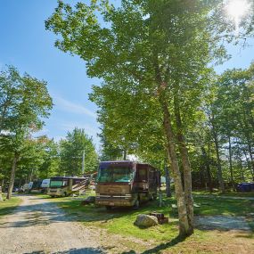 Bild von Patten Pond Campground