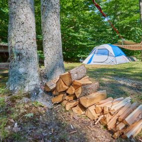 Bild von Patten Pond Campground