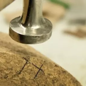 Orthopedisch Schoentechnicus Brand J P M vd