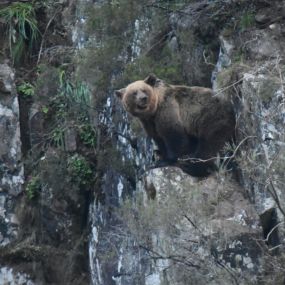 reservadelabiosfera.jpg