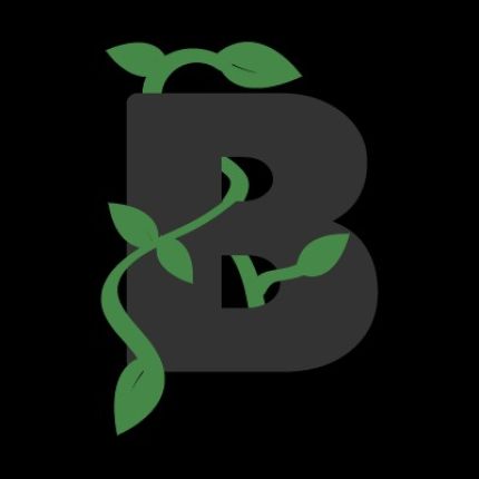 Logotipo de Beanstalk Web Solutions