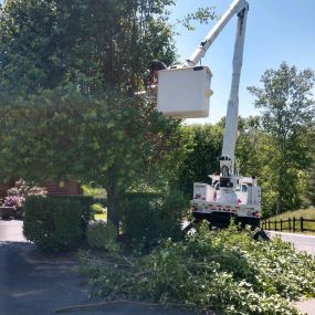 We Keep Your Property Looking Great At Cope Tree Service & Mulch Delivery