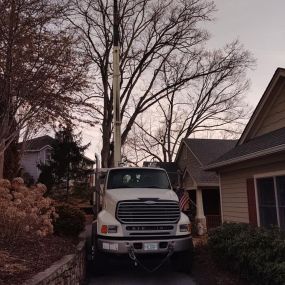 We Keep Your Property Looking Great At Cope Tree Service & Mulch Delivery