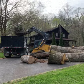 Cope Tree Service & Mulch Delivery -  Expert Tree Removal