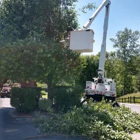 We Keep Your Property Looking Great At Cope Tree Service & Mulch Delivery