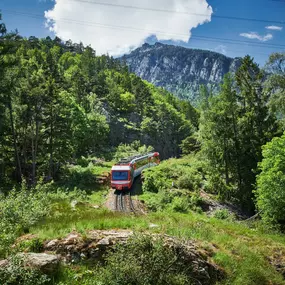 Bild von TMR Transports de Martigny et Régions SA