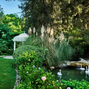 Swan Lake at Hotel Bel-Air