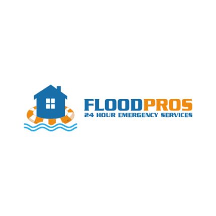 Logotyp från Flood Pros USA