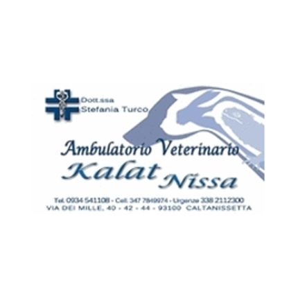 Λογότυπο από Veterinario Dr. Stefania Turco Ambulatorio Kalat Nissa
