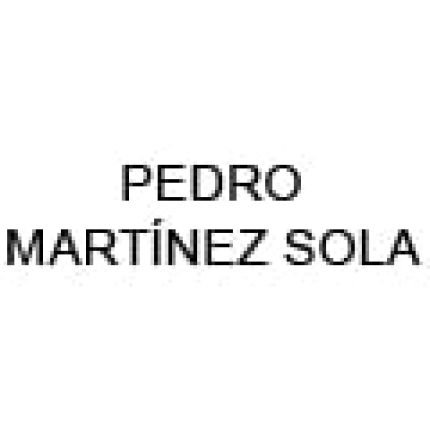 Logo da Pedro Martínez Sola