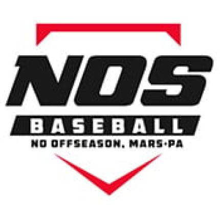 Logótipo de No Offseason Baseball