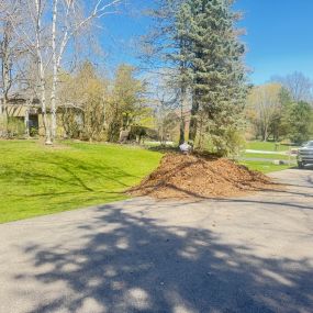 Bild von Little's Lawn & Landscaping