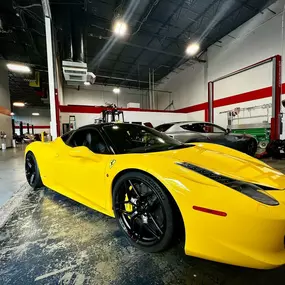 Bild von Loudoun County Exotics