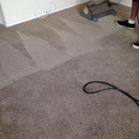 Bild von Home Pride Carpet Cleaning
