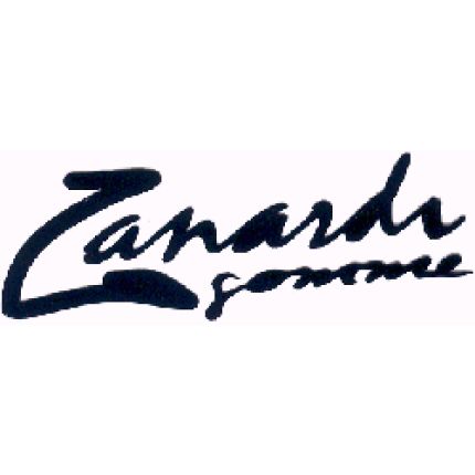 Logo van Zanardi Gomme