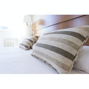 Bed bug removal in Denver