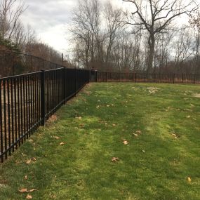 Metal and Pet Fencing