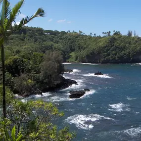 Bild von Kona Coast Vacations