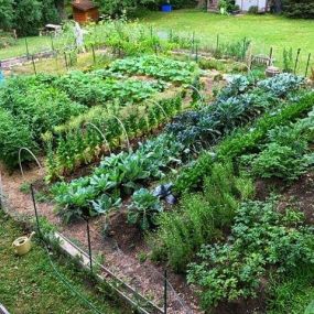 Organic Gardening with Blue Ribbon Organics
