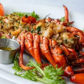 Lucia Ristorante / Winchester - Lobster Entree