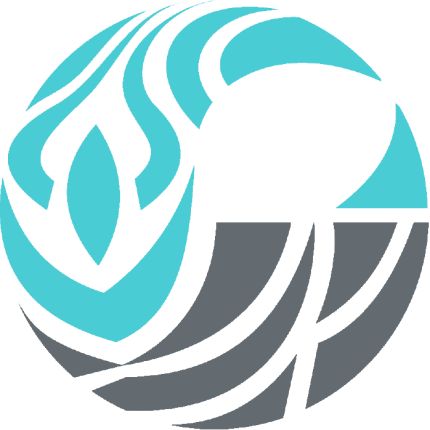 Logo van blue pokē