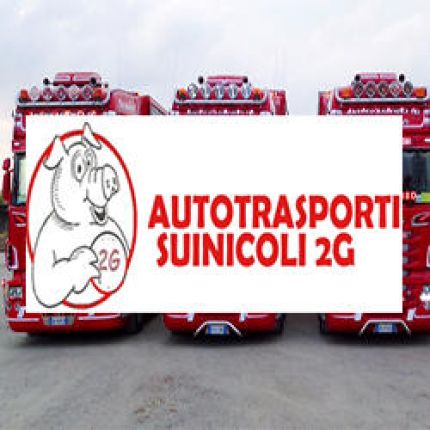 Logo von Autotrasporti Suinicoli 2 G