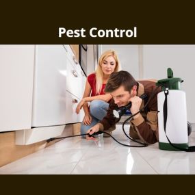 Bild von Arab Termite & Pest Control