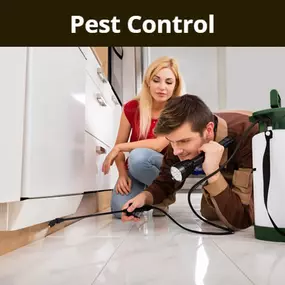 Bild von Arab Termite & Pest Control