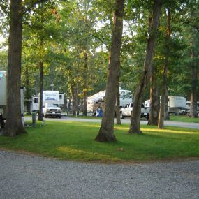 Whittington Woods Campground