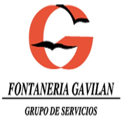 Logotipo de Fontanería Gavilán