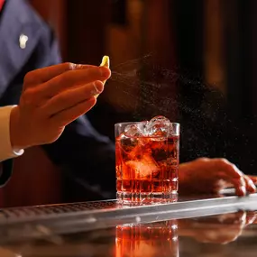 Negroni Cocktail