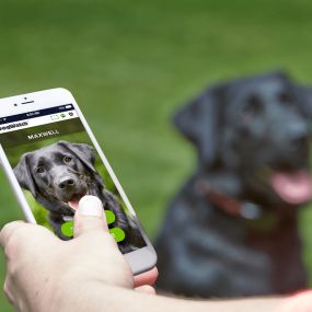 The SmartFence App - The Next Generation of Pet Fencing.