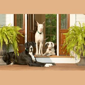 We install and service Indoor Pet Fence Containment Systems.