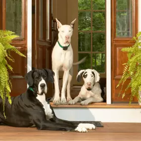 We install and service Indoor Pet Fence Containment Systems.